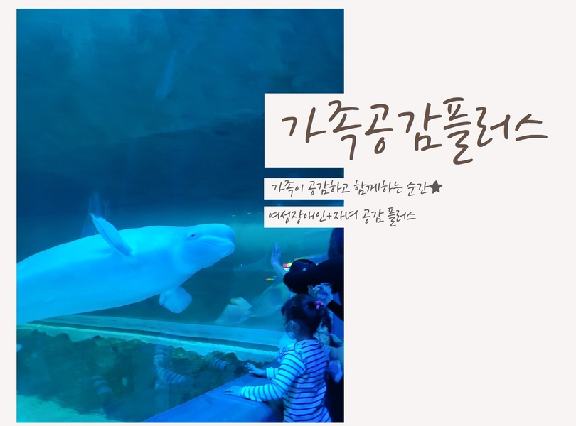 가족공감플러스 스캐치3