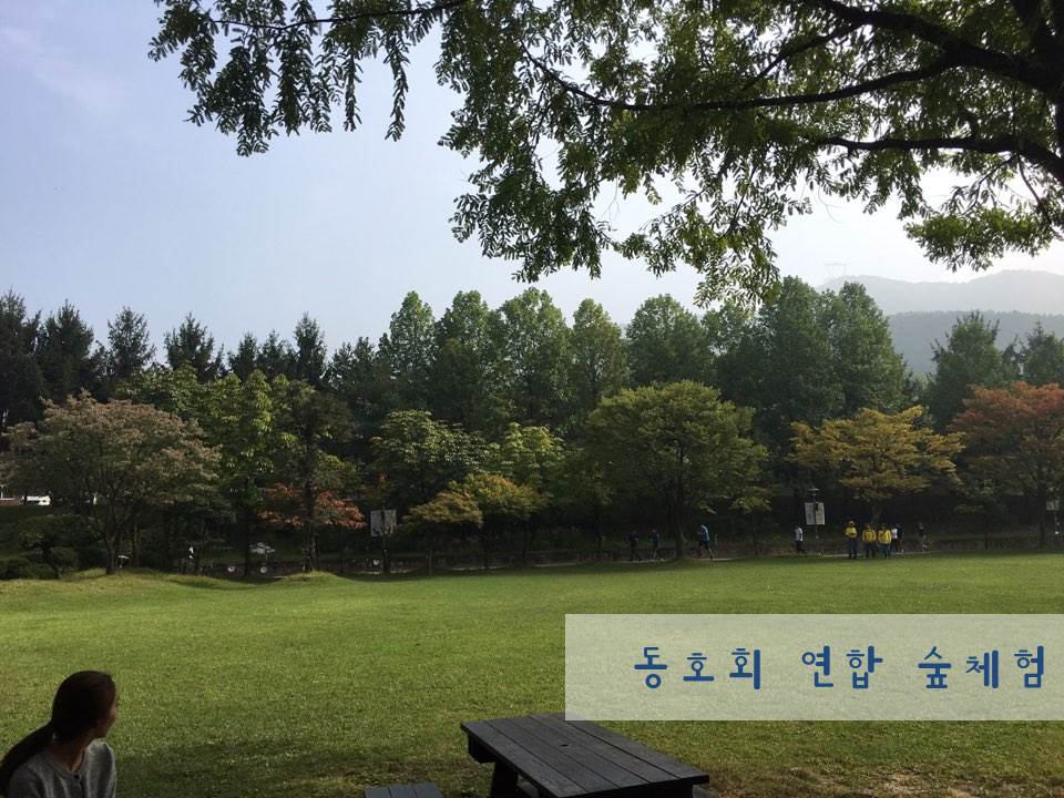 동호회 연합 숲체험 실시