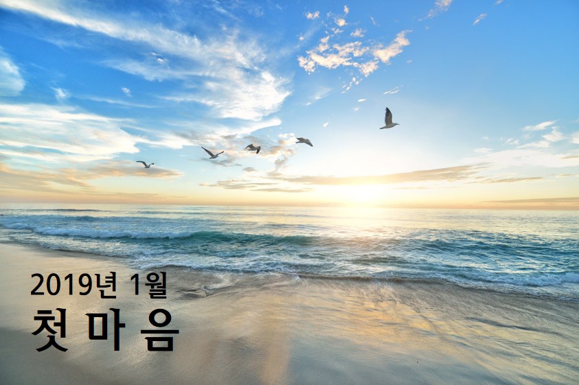 안녕? 2019년, 첫 마음을 다시금 새겨보아요.