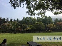 동호회 연합 숲체험.jpg