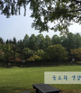 동호회 연합 숲체험.jpg